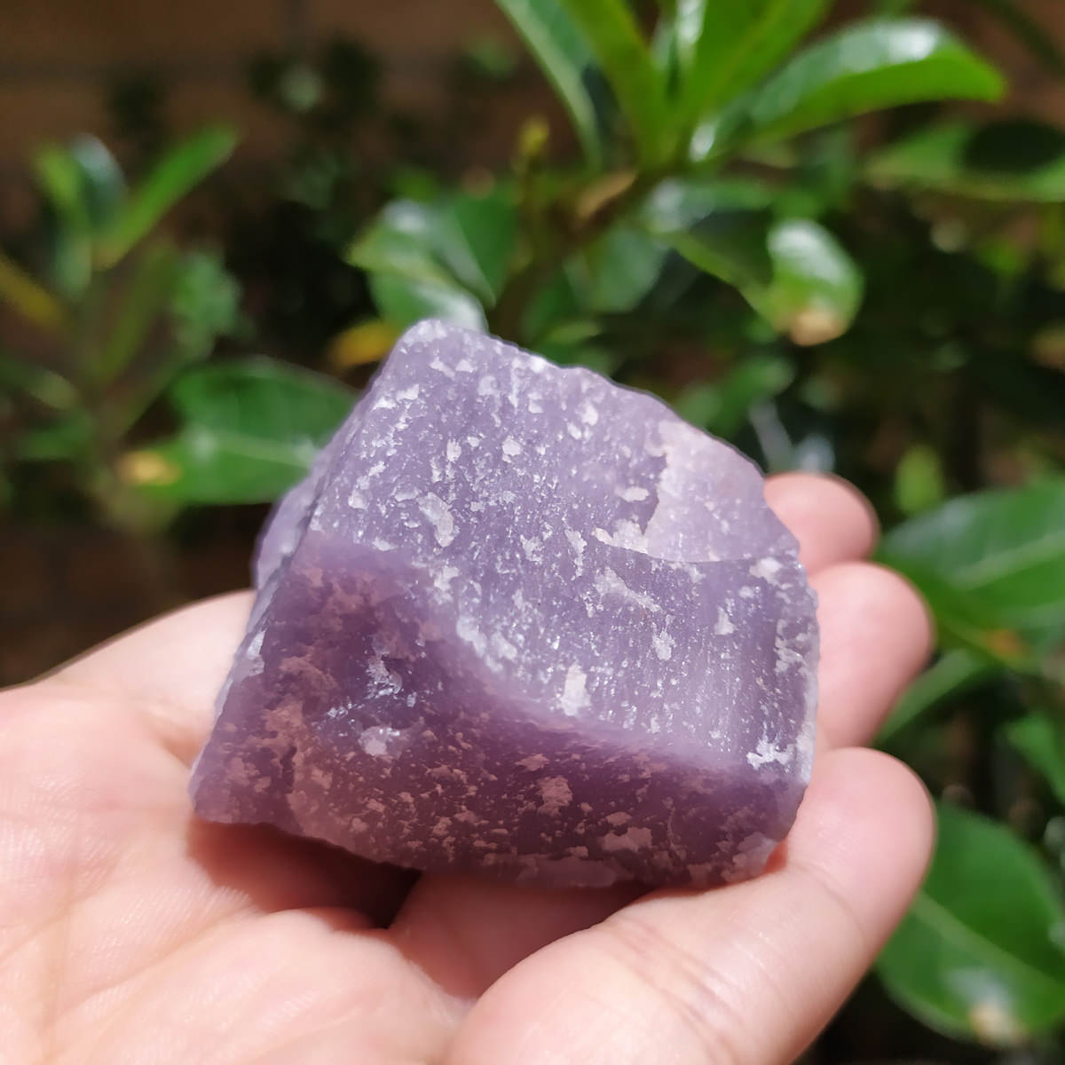 Raw Lavender Rose Quartz