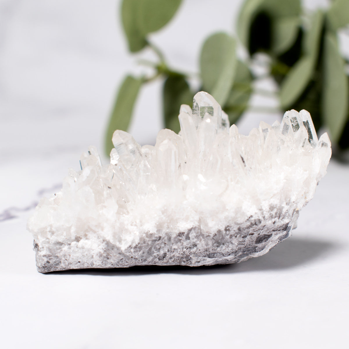 Clear Quartz Cluster